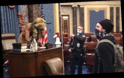 Capitol riot footage shows cop sharing friendly interactions with mob