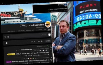Musk accuses Discord of &apos;going corpo&apos; after it bans WallStreetBets