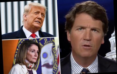 Tucker Carlson says Dems will turn on each other with 'feral ferocity' when Trump leaves office