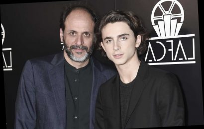 Luca Guadagnino Eyes Reunion with Timothée Chalamet, ‘Suspiria’ Writer for Horror Love Story