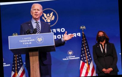 Biden, Harris take heat for claiming double standard by cops in US Capitol siege