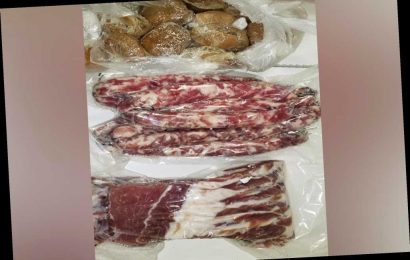 Swine meat, edible bird’s nests seized at JFK Airport, officials say