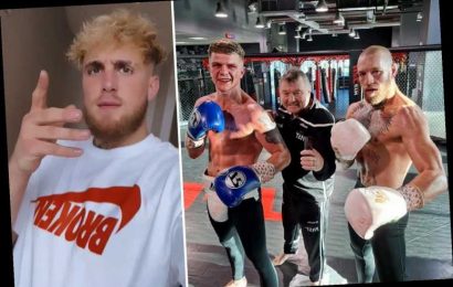 Jake Paul calls out Conor McGregor protege Dylan Moran after Irish star said he would put Paul brothers 'to sleep'