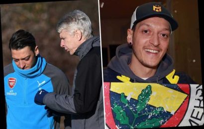Mesut Ozil hailed 'genius' and backed to thrive in Turkey as Arsenal ace 'needs a warm environment', says Arsene Wenger