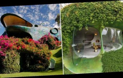 This Organic House in Mexico Puts Nature Top of Mind, and the Finished Product Is Interstellar