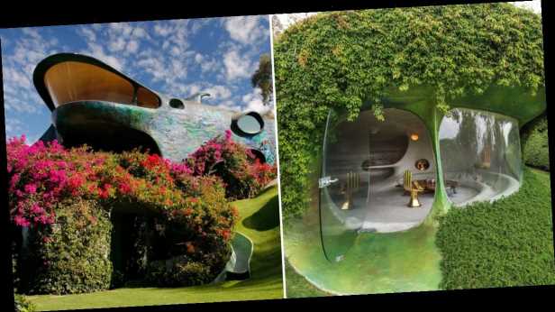 This Organic House in Mexico Puts Nature Top of Mind, and the Finished Product Is Interstellar