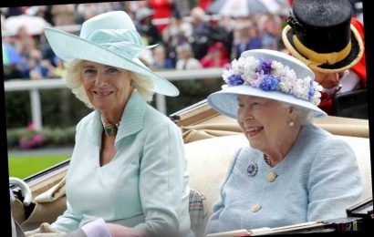 Camilla, Duchess of Cornwall Has a Subtle Nod to Queen Elizabeth in Her Reading Room