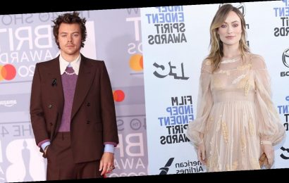 Olivia Wilde and Harry Styles Hold Hands, Spark Dating Rumors