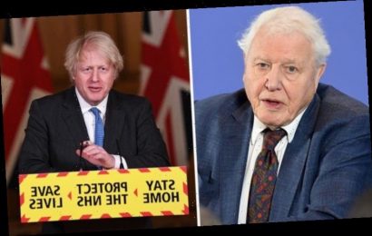 David Attenborough may never film overseas again after Boris Johnson’s restrictions