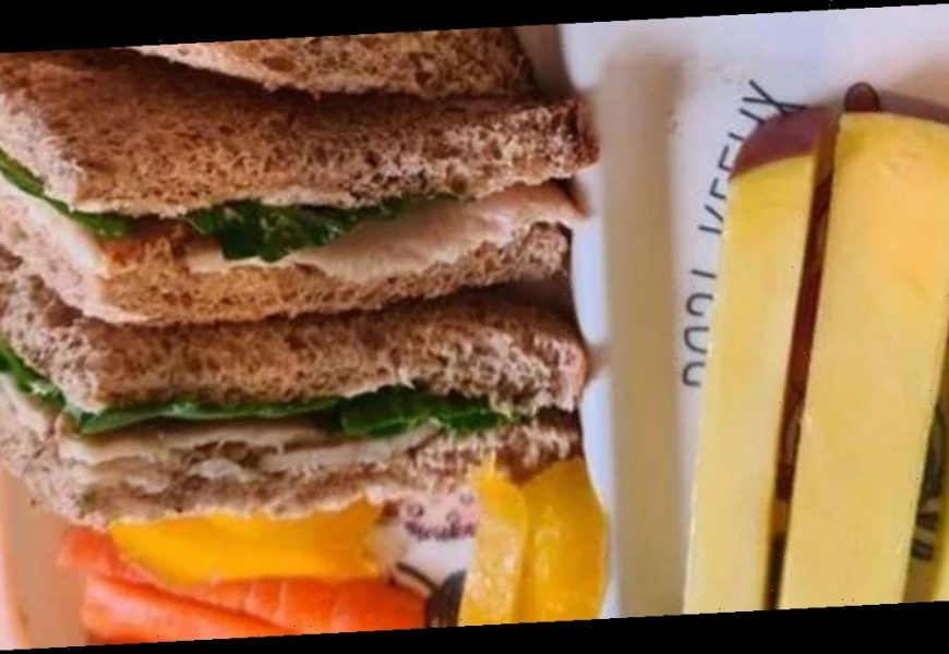 Mum criticised for packing ‘acceptable’ school lunch for her two daughters