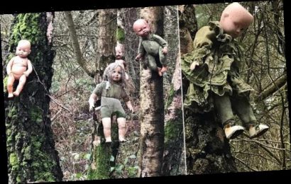 Walker discovers haunting collection of baby dolls nailed to trees