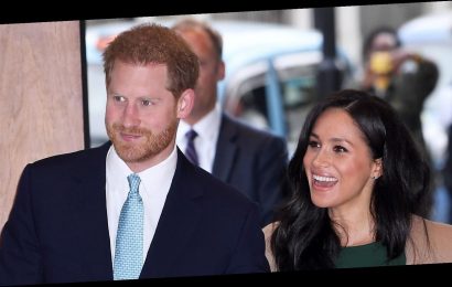 Surprise! Prince Harry and Meghan Markle Attend Virtual Poetry Class