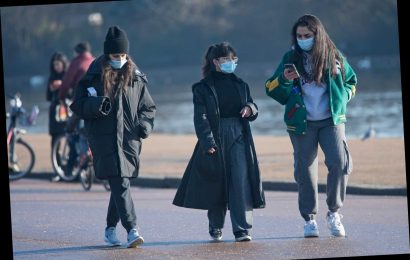 Brits should wear masks in crowded outdoor spaces including parks & supermarket queues to stop mutant Covid, SAGE warns