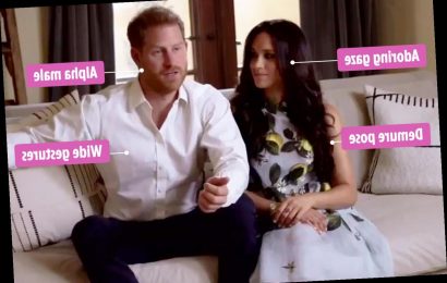 ‘Dominant’ Prince Harry looks ‘polished’ as ‘demure’ Meghan Markle ‘gazes adoringly at him’, says body language expert