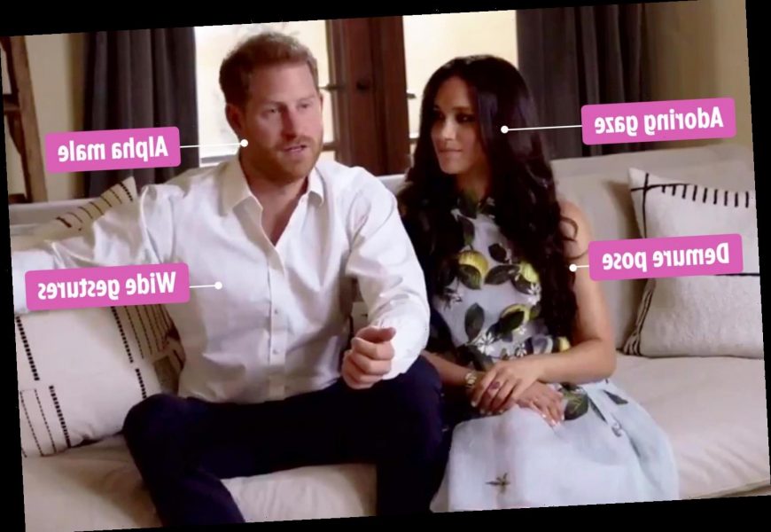 ‘Dominant’ Prince Harry looks ‘polished’ as ‘demure’ Meghan Markle ‘gazes adoringly at him’, says body language expert