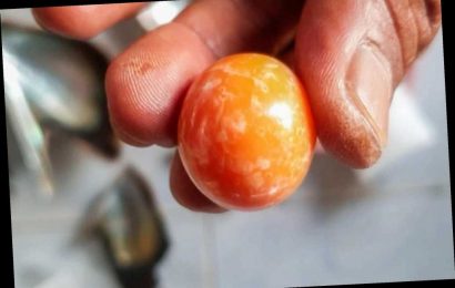 Thai fisherman finds rare orange pearl worth $330K