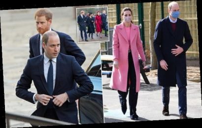 ROBERT HARDMAN: A steely, wise reply… Amen to that, Wills!