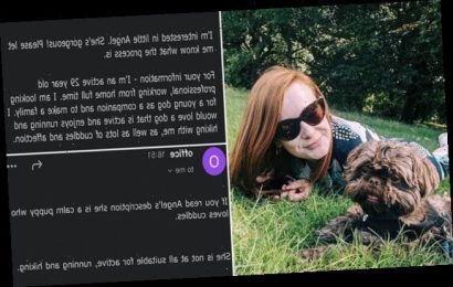 Woman &apos;speechless&apos; at bizarre response to application to adopt puppy