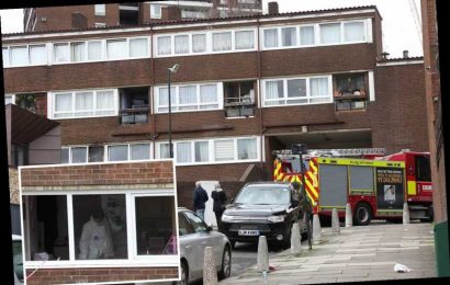 Boy, 14, and woman, 34, die in hospital after 'deliberate' Lewisham house fire that also killed 5-year-old boy