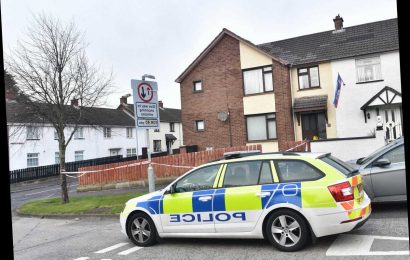 Newtownabbey – 3 bodies found as man 'stabs girlfriend & mum before killing himself' as cops launch murder-suicide probe