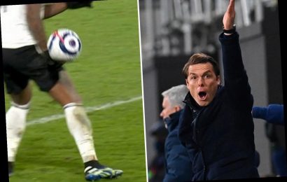 Scott Parker slams VAR and accuses chiefs of 'killing' excitement in football as Fulham denied point against Spurs