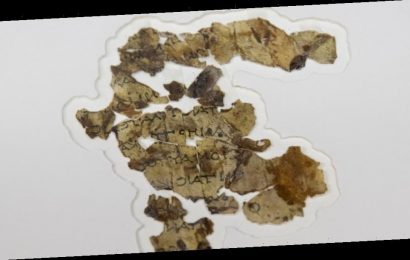 Israeli experts announce discovery of new Dead Sea scrolls