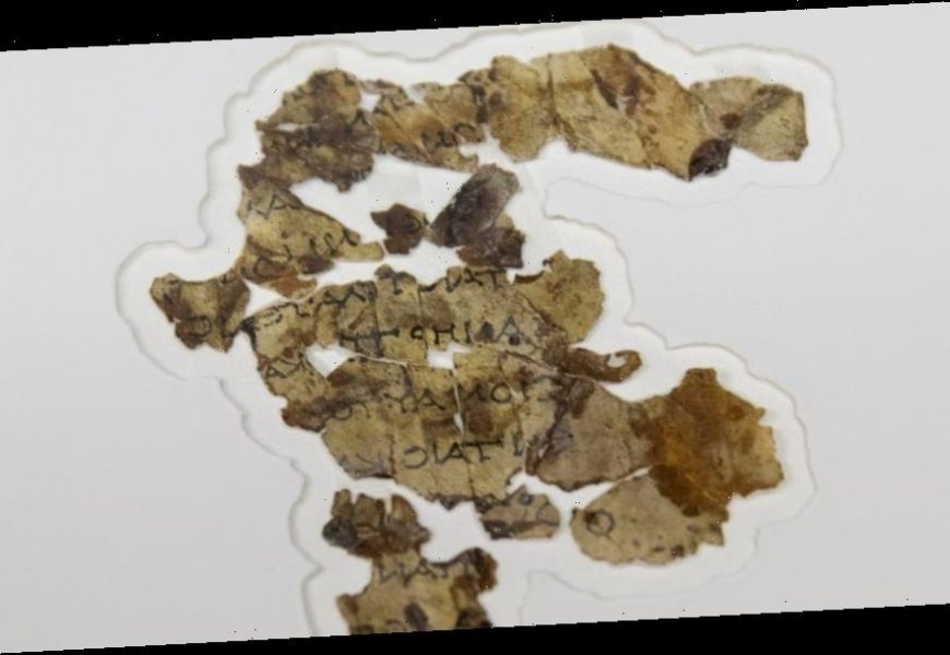 Israeli experts announce discovery of new Dead Sea scrolls
