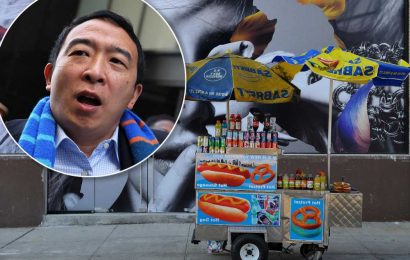 Andrew Yang ‘regrets’ tweet about illegal street vendors