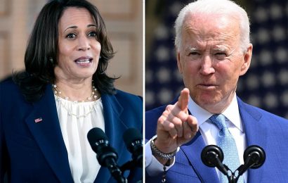 Biden defends Kamala Harris' inaction in border crisis and claims she 'speaks truth' as Schumer insists VP is 'capable'