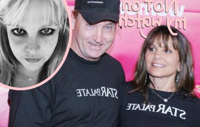 Britney Spears' Mother Lynne Is PISSED About Jamie's Pricey Attorney Fees!
