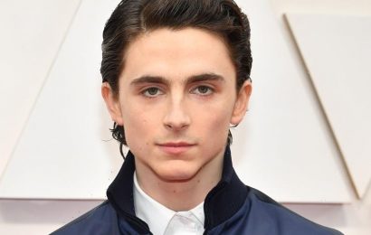 Timothee Chalamet Is ‘Playing With Himself’ & His Celeb Friends Are Reacting!