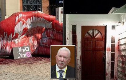 Vandals leave PIG&apos;S HEAD outside former home of Derek Chauvin witness