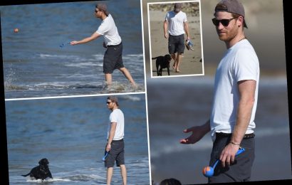 Prince Harry flips his baseball cap on seaside dog walk as he settles into the LA lifestyle after landing two jobs