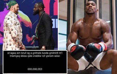 Anthony Joshua wants to set up £20m GoFundMe for Deontay Wilder to step aside so he can 'smoke that fat guy' Tyson Fury