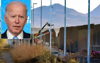 Biden Pentagon cancels construction of border wall using military funds