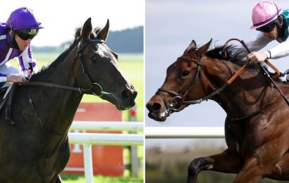 Classic hopefuls High Definition and Noon Star headline star-studded Dante Festival at York races