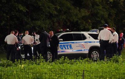 Cops search for known attacker who raped woman, 29, in Central Park