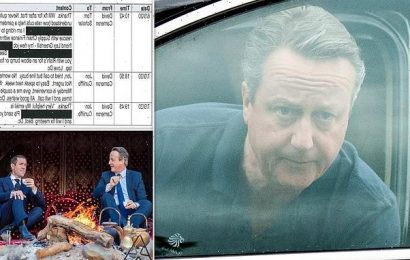 David Cameron&apos;s toe-curling lobbying messages revealed
