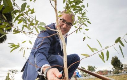 Half a million trees to be planted in Melbourne’s west to bridge gap with leafy suburbs