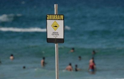 Man killed in shark attack while surfing on Australia coast