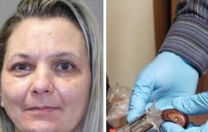 Missouri Inmate Smuggles Loaded Gun Into Prison in Her Vagina