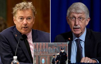 NIH head accuses Rand Paul of ‘misinformation’ about US ties to Wuhan lab