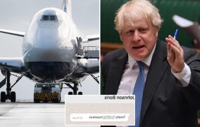 Boris 'compared being PM to pulling a jumbo jet down a runway every day'