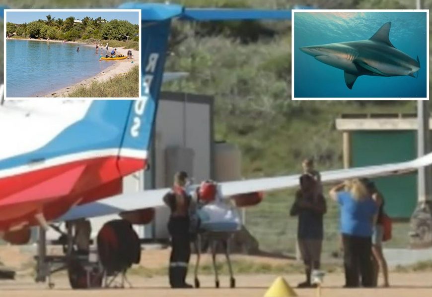 Boy, 10, attacked by two-metre shark while snorkelling with dad in Australia as beach closed