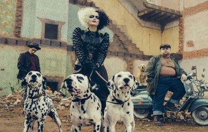 Dog rescued from streets of Cyprus wins blockbuster role in Disney’s Cruella