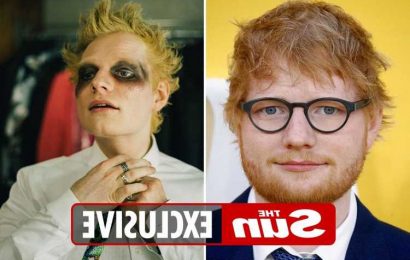 Ed Sheeran tells meddling neighbours to 'mind their own business' after planning disputes