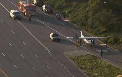 Flight instructor, student make daring emergency landing on California highway