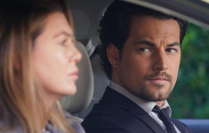 'Grey's Anatomy': Meredith Knew About DeLuca's Death and Some Fans Are Still Confused