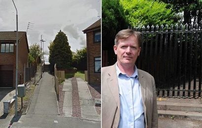 Housing estate residents erect steel fence to keep out antisocial yobs