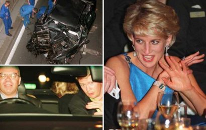 Princess Diana doctor who battled to save her after Paris car crash says he 'tried everything to get her heart beating'